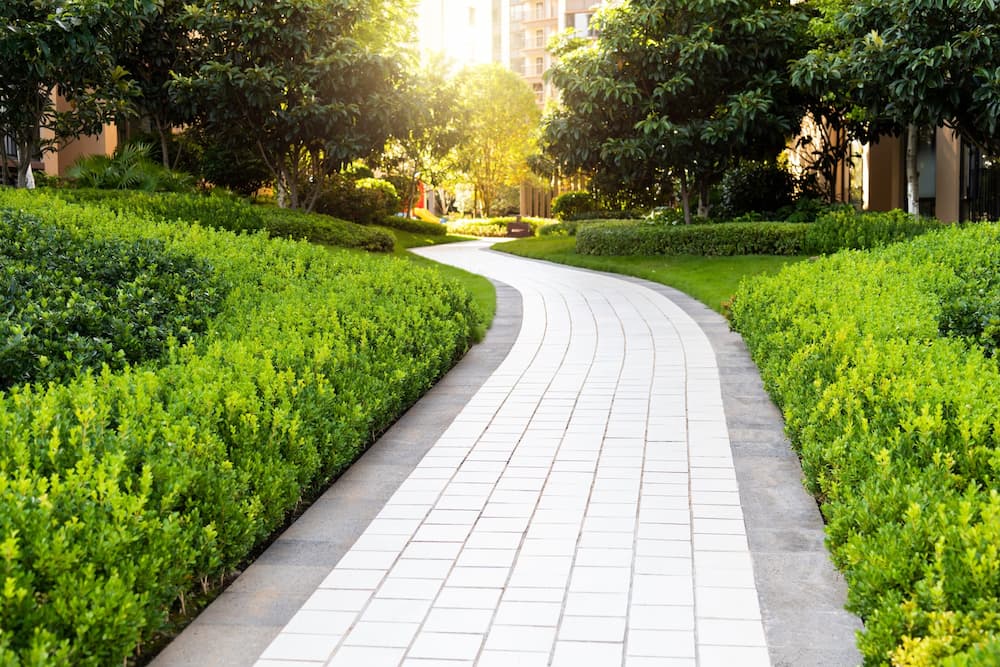 walkway between grass and foliage of apartment complexes